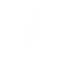Icon-Design-weiss Icon-Design-weiss